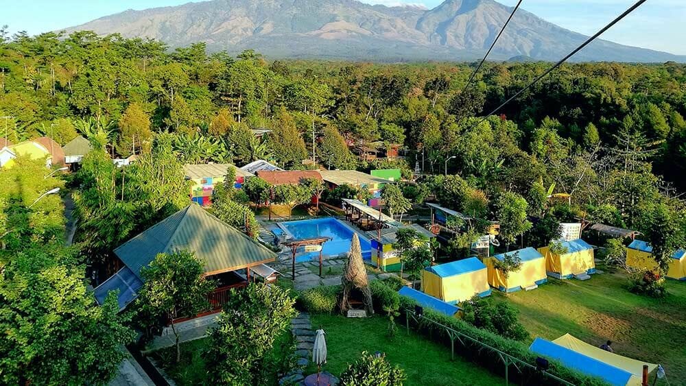 Kebun Pak Budi Pasuruan
