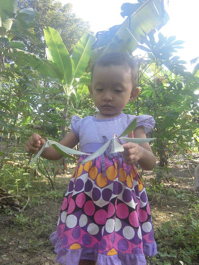 merawat tanaman