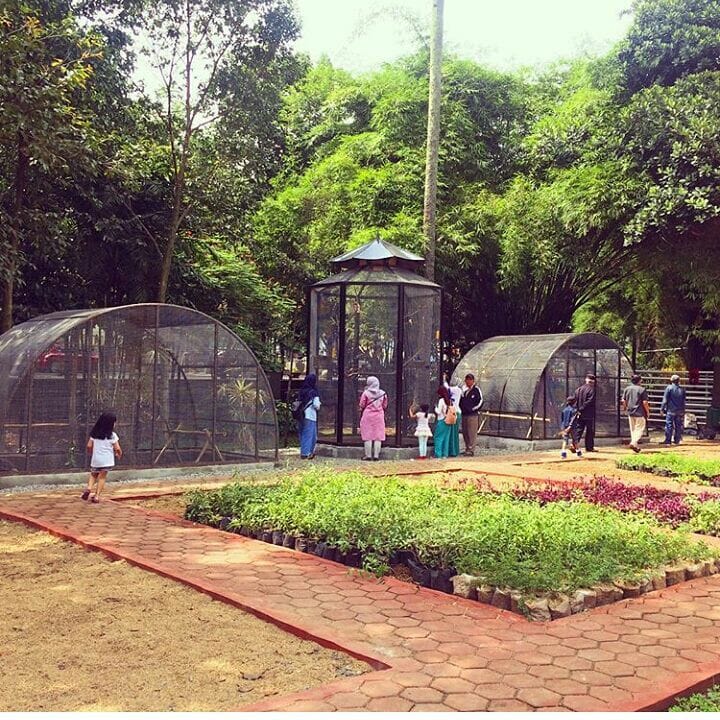 taman hewan di taman badak bandung