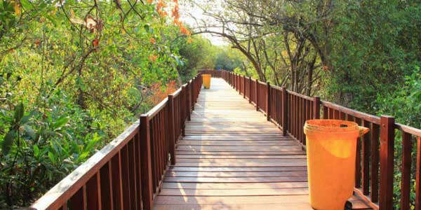 Taman Mangrove Wonorejo