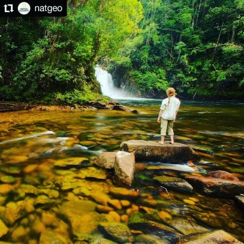 Taman Nasional Gunung Palung