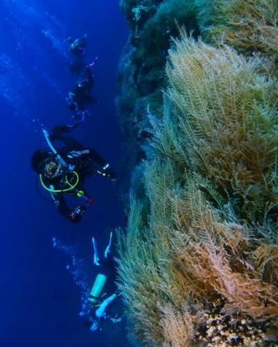 Teluk Tomini Gorontalo