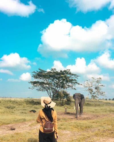 Taman Nasional Way Kambas