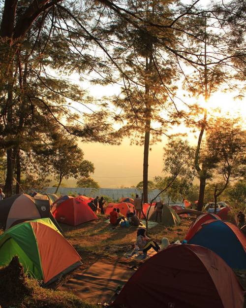 Basecamp Mawar Ungaran