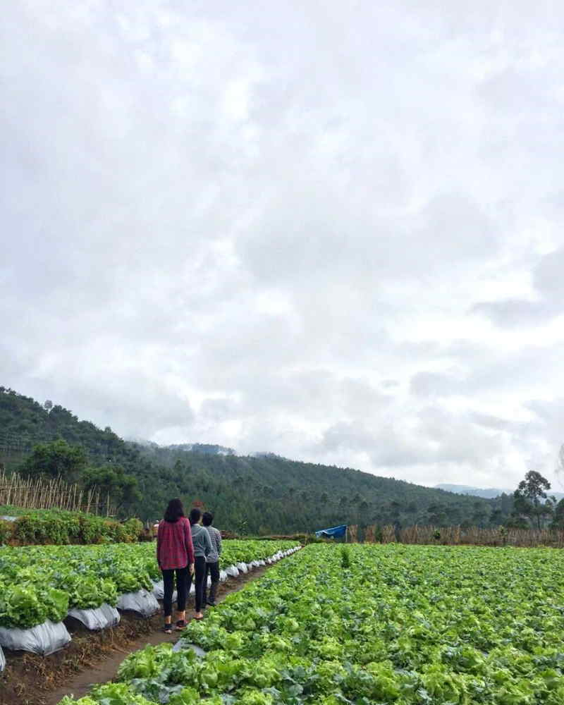 Desa Wisata Kampung Pasir Angling
