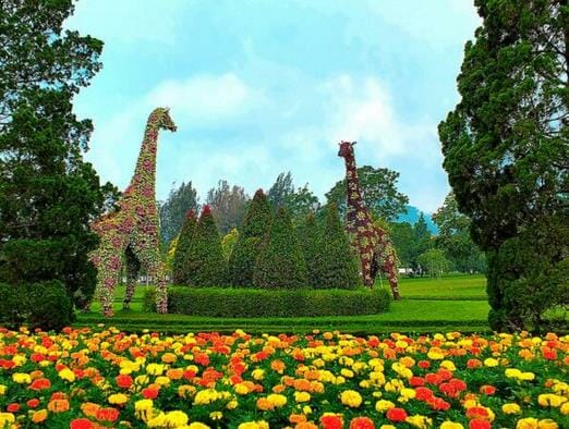 Foto Taman Bunga Nusantara