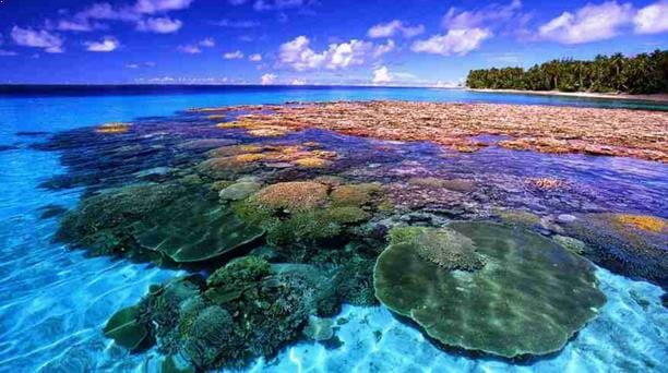 Gambar Destinasi Wisata Pulau Bunaken