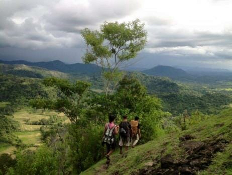 Gambar Jalur Track Bukit Sorongan Sulawesi