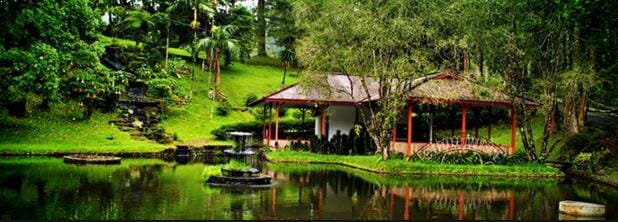 Gambar Kebun Raya Cibodas Cipanas