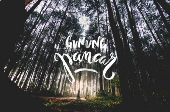 Gambar Taman Wisata Alam Gunung Pancar