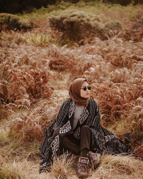 Geleri Gunung Papandayan
