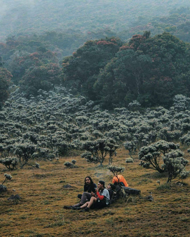 Informasi Gunung Gede Pangrango