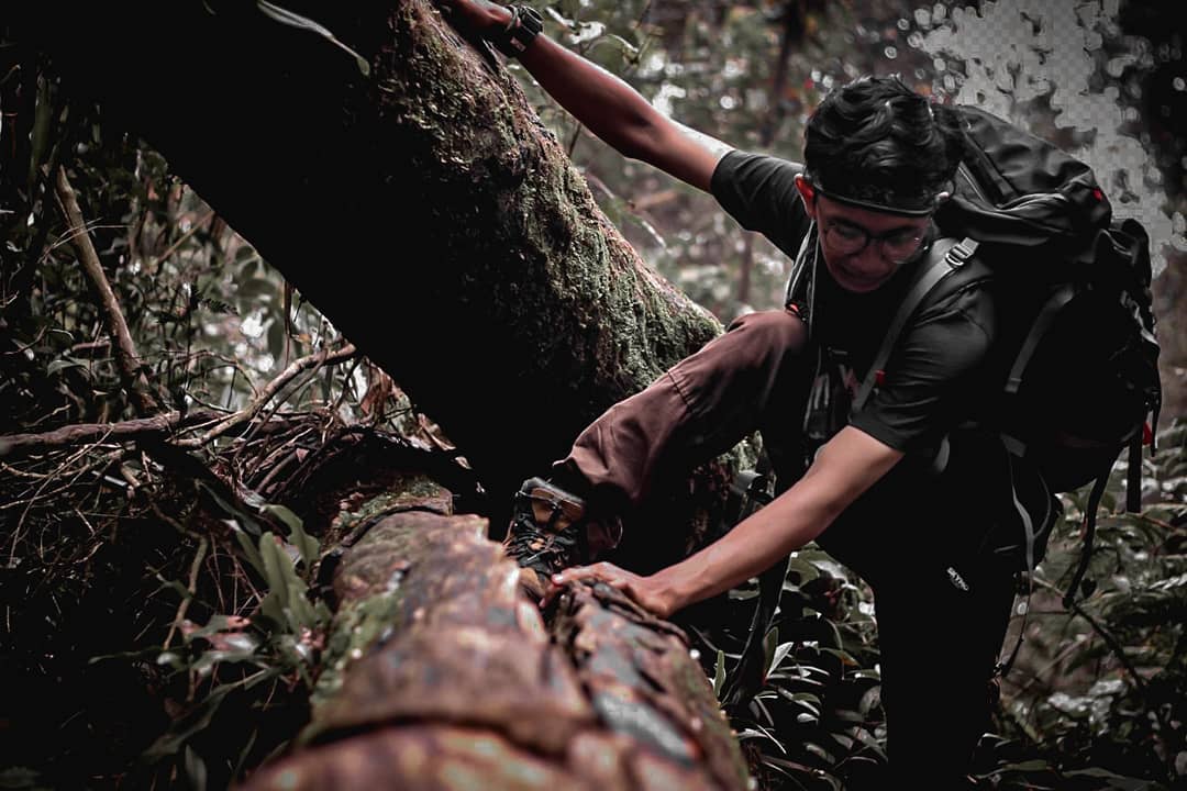 Lokasi Gunung Salak Bogor
