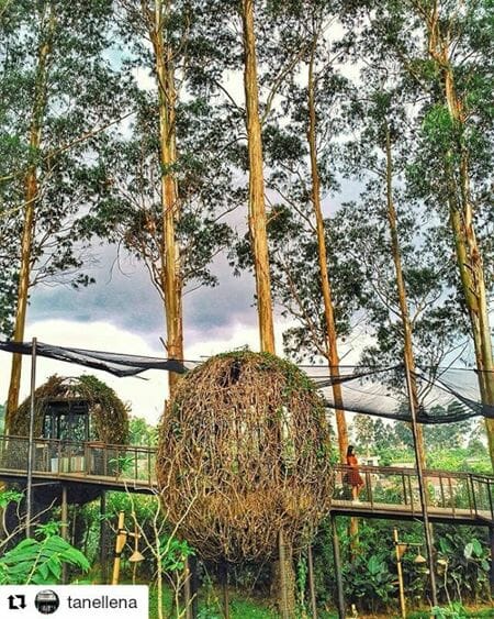 penginapan di dusun bambu