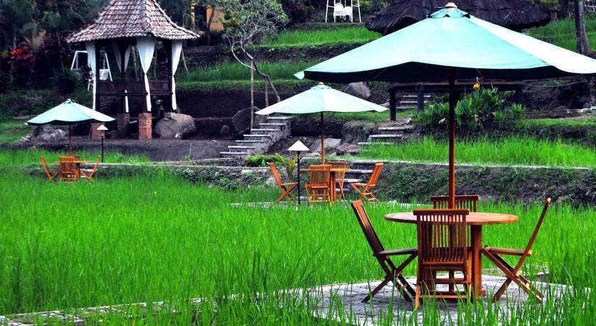Paddy City Resort