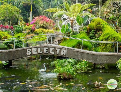 harga tiket masuk selecta terbaru 2019