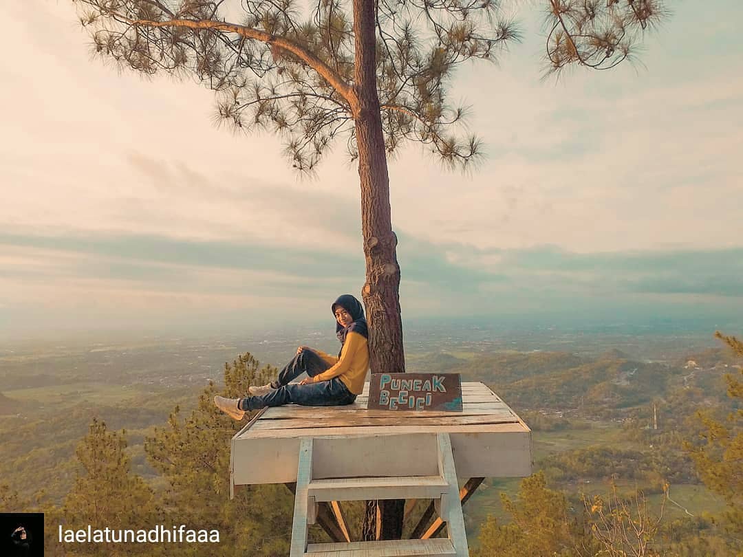 Tiket masuk Puncak Becici