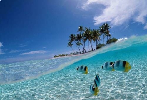 Tour Travel Pulau Batanta