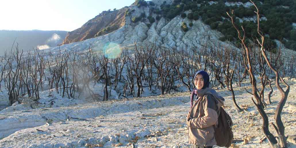 Hutan Mati Gunung Papandayan