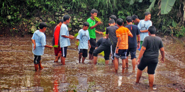Desa PentingSari