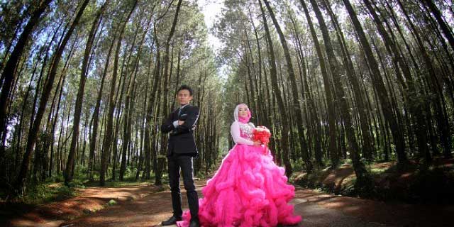 Hutan Pinus Kragilan