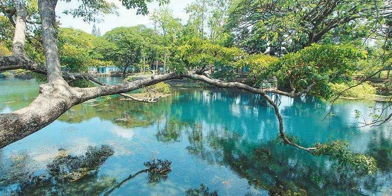 Danau Ronggojalu