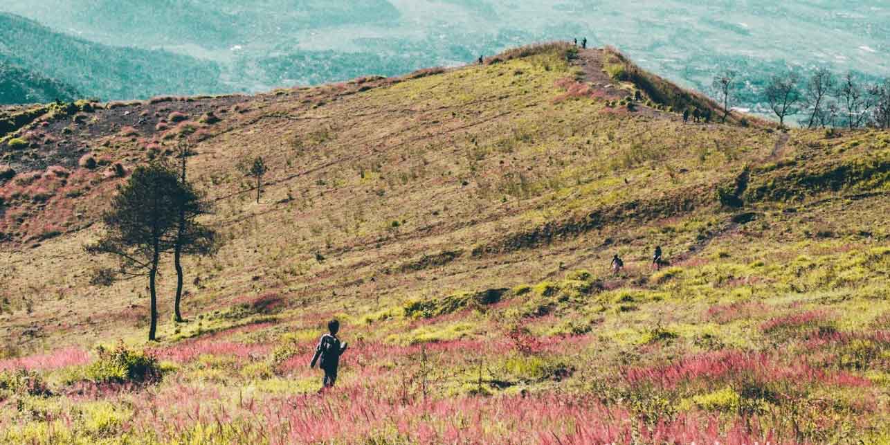 Gunung Guntur