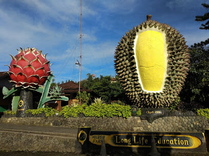 Warso Farm