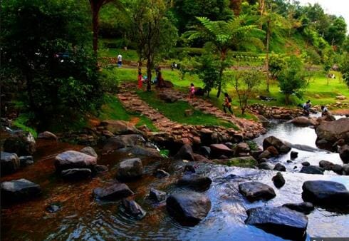 Wisata Kebun Raya Cibodas Cipanas