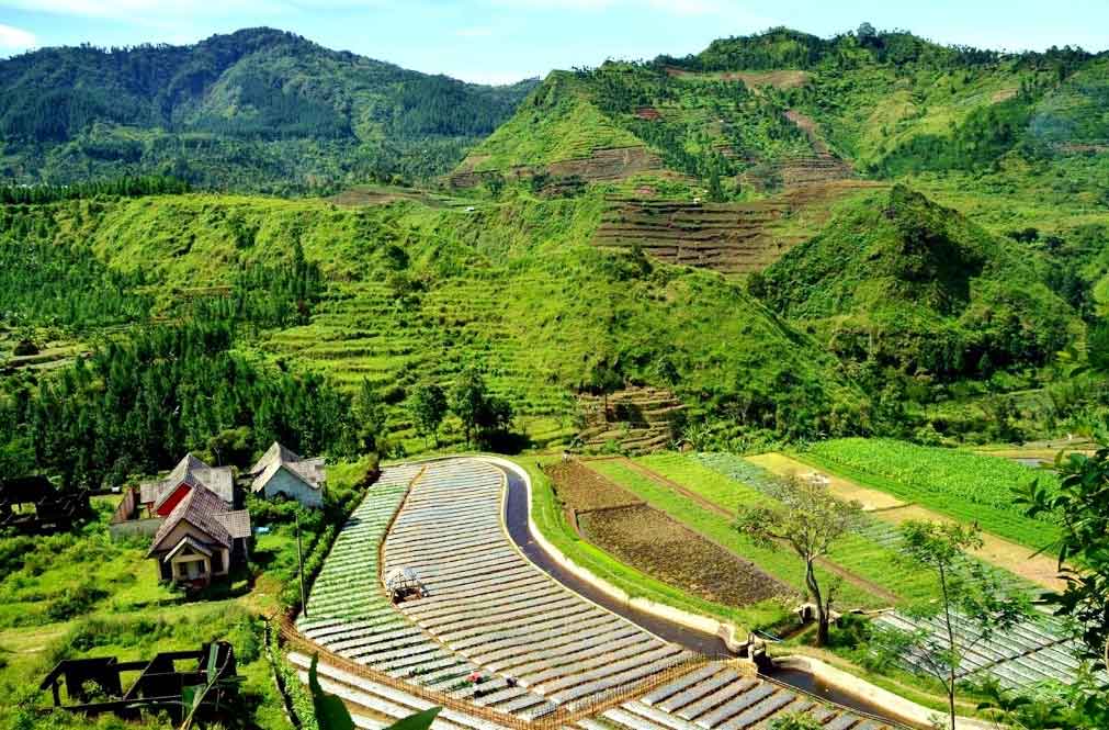 Wisata alam guci
