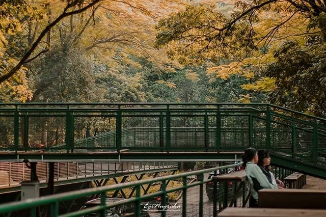 tempat wisata bandung babakan siliwangi