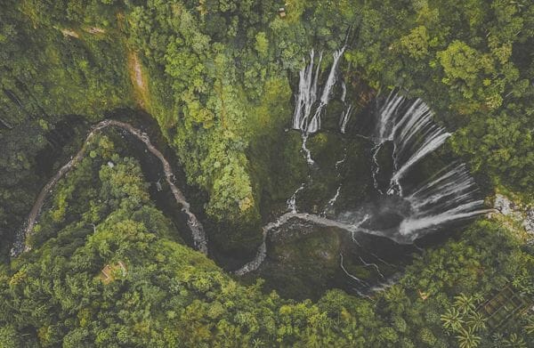 gunung semeru orang lain juga menelusuri