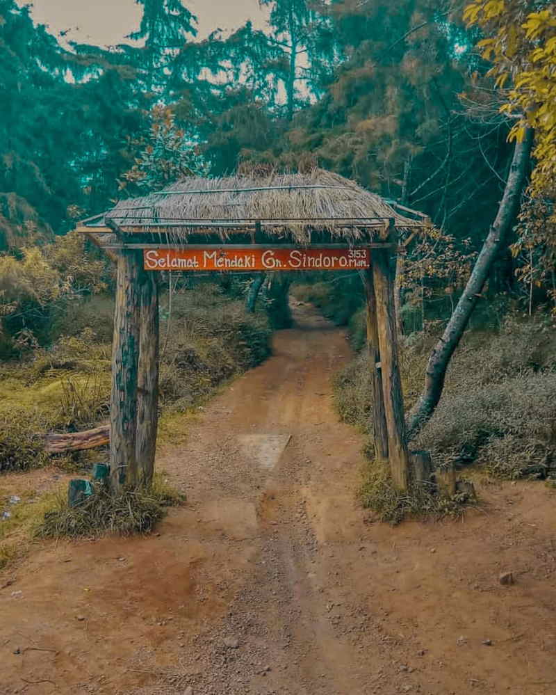 jalur pendakian gunung sindoro via tambi