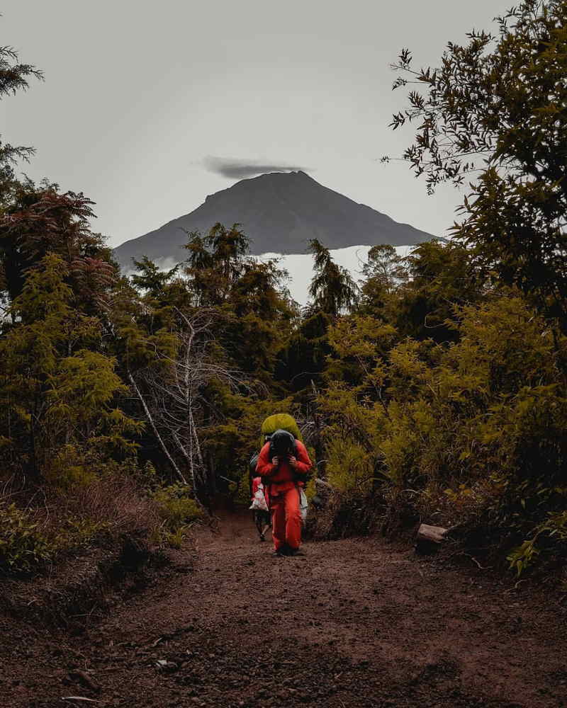 pendakian gunung sindoro