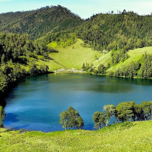 penunggu gunung semeru