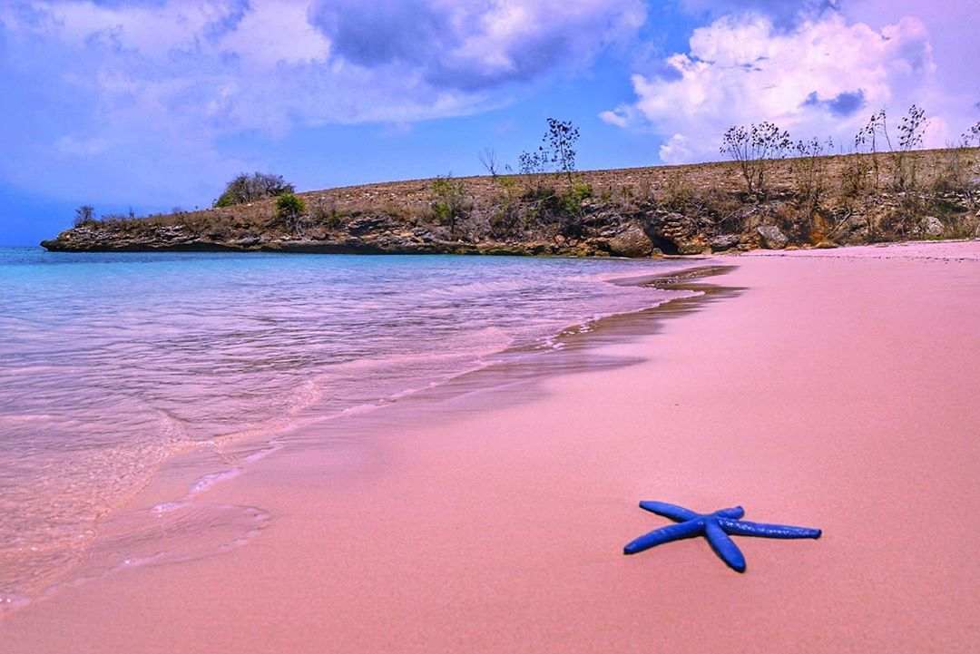 sejarah pantai pink lombok