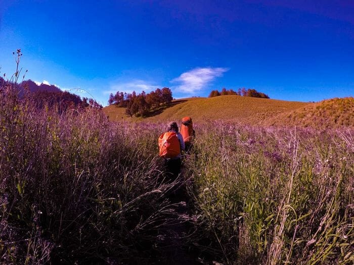 status gunung semeru