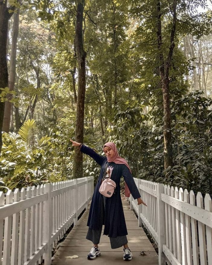 tempat wisata di bandung taman hutan raya juanda