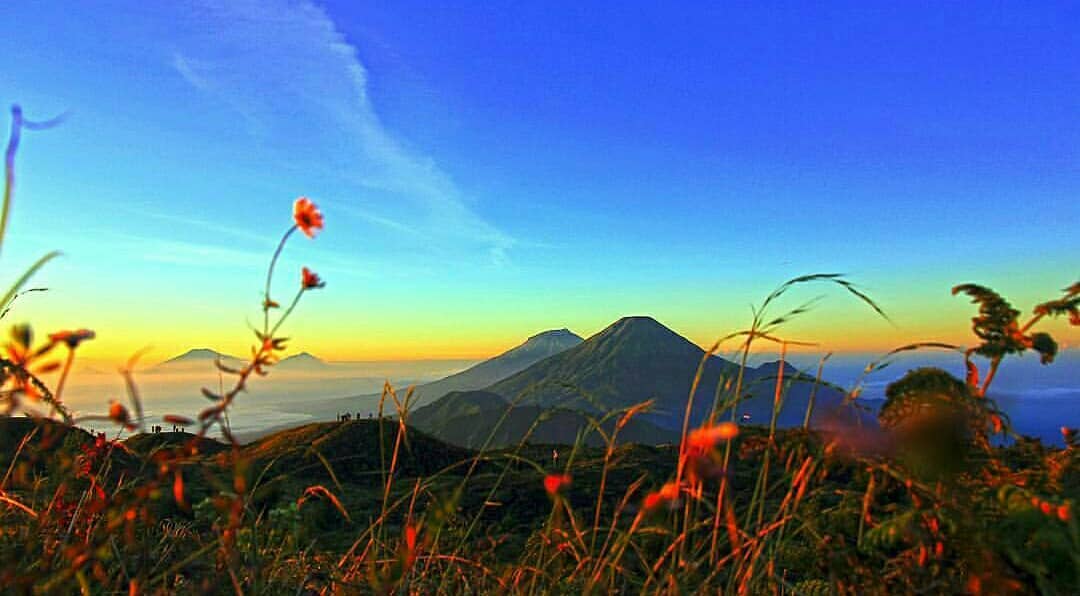 tips mendaki gunung prau
