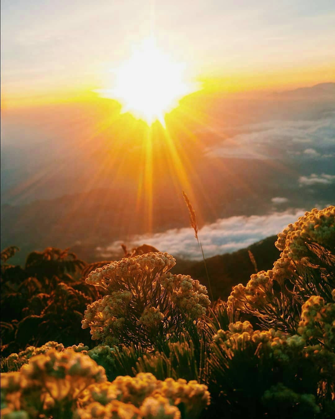 view gunung prau