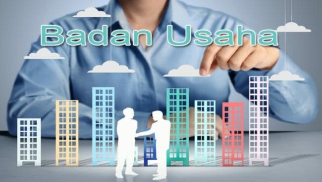 pengertian badan usaha