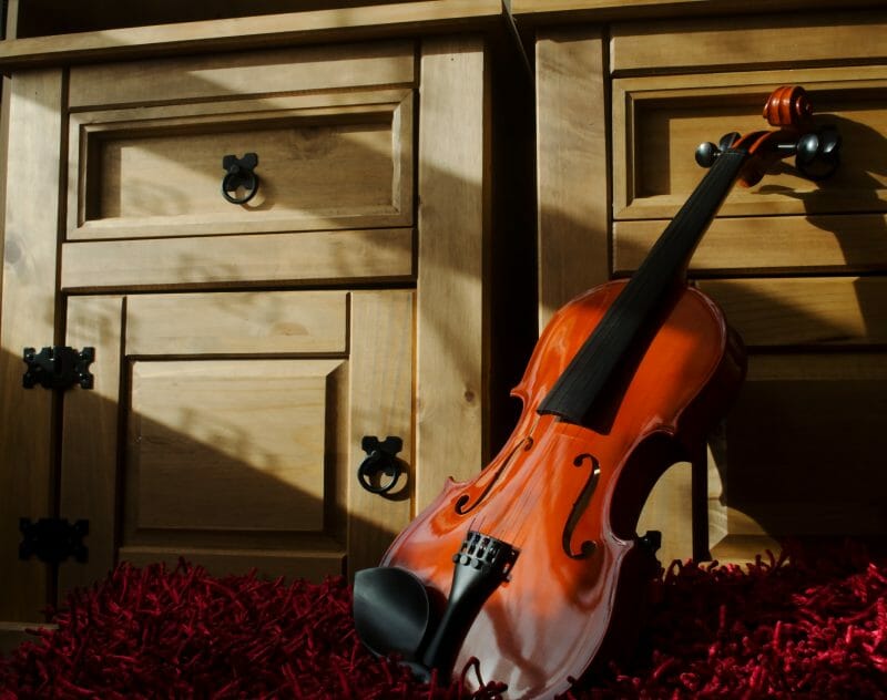 Violin, salah satu alat musik gesek dunia