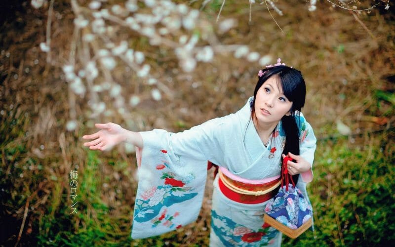 Furisode baju Furisode