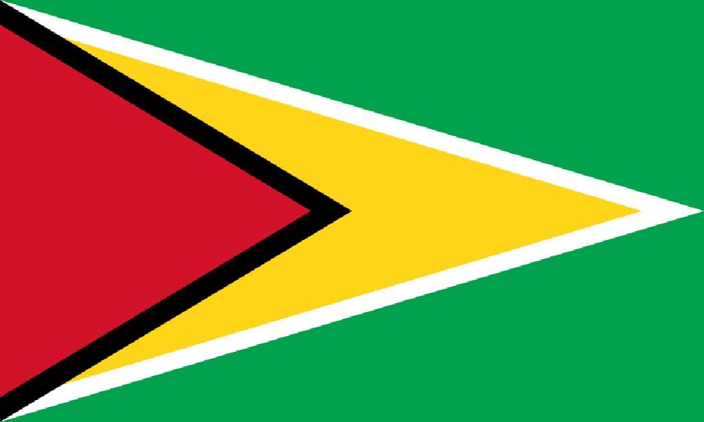 Bendera Guyana