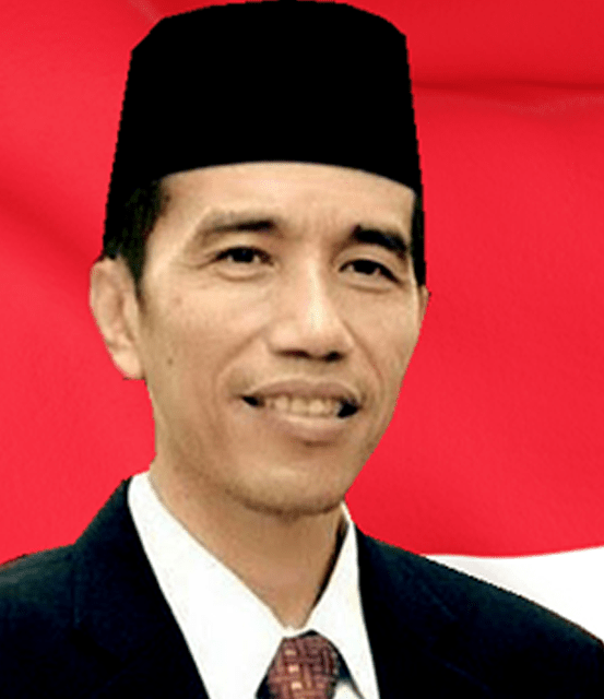 Presiden Ir. Joko Widodo berwarna