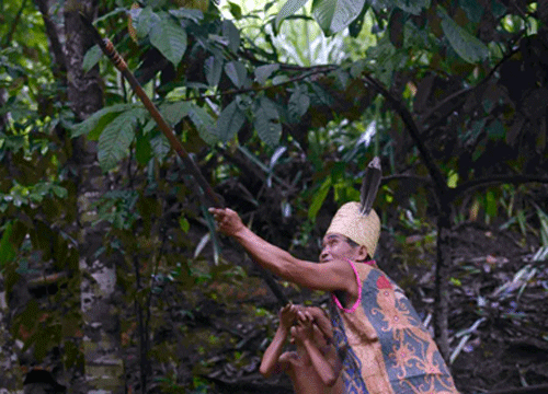 Senjata adat Kalimantan Barat: Sipet